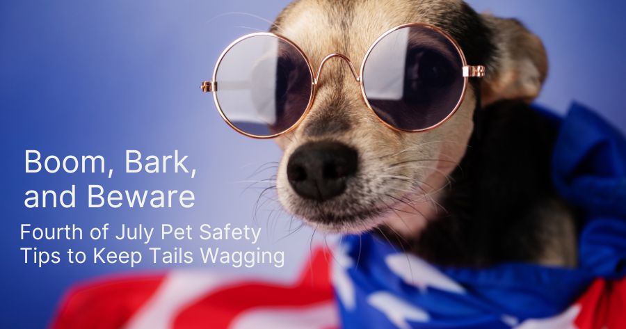 Boom, Bark, and Beware