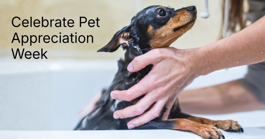 Celebrate Pet Appreciation Week