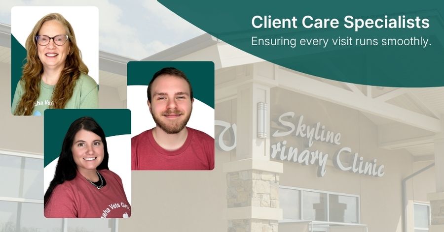 Celebrating our Client Care Specialists